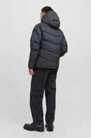 Gri Logo Baskili Kapüsonlu Puffer Mont 77724K12238849.06 - 6