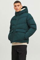 Zümrüt Logo Baskili Kapüsonlu Puffer Mont 77724K12238849.123 - 1