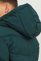 Zümrüt Logo Baskili Kapüsonlu Puffer Mont 77724K12238849.123 - 3