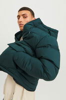 Zümrüt Logo Baskili Kapüsonlu Puffer Mont 77724K12238849.123 - 5