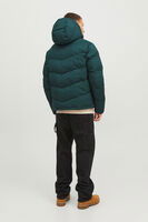 Zümrüt Logo Baskili Kapüsonlu Puffer Mont 77724K12238849.123 - 6